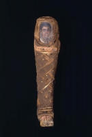 6616.jpg