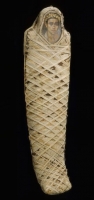 6905.jpg