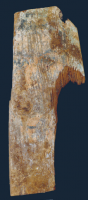 6955.png